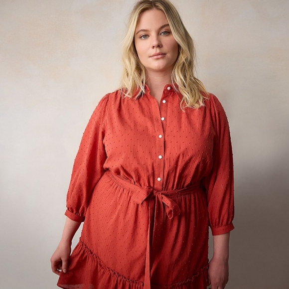 LC Lauren Conrad Rust Colored Dress | Size 4X - NWT - Picture 7 of 9